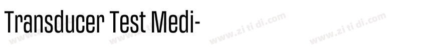 Transducer Test Medi字体转换